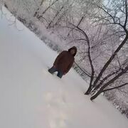 ���������� ���������� �����, ���� ������� �����, 31 ���, ������������ ��� ����� � ���������, c�������� ���������, ���������