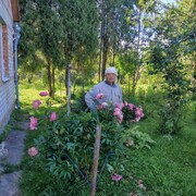 ���������� �����, ���� ������� Armen, 68 ���, ������������ ��� ������, ����� � ���������, c�������� ���������, ���������