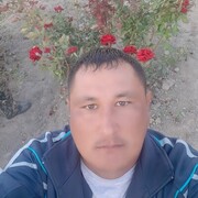  ,  , 41