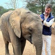 ���������� �������, ���� ������� ������, 41 ���, ������������ ��� ������, ����� � ���������, c�������� ���������, ���������