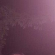 ���������� ���������, ���� ������� �����, 36 ���, ������������ ��� ������, ����� � ���������, c�������� ���������