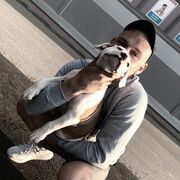  ,   Dimon, 31 ,   ,   , c , 