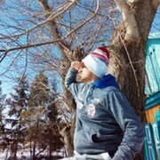 ,   , 37 ,   , 