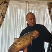  ,   , 48 ,   ,   