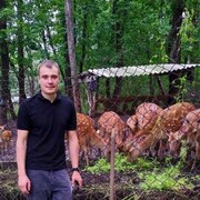  ,   , 33 ,   ,   , c , 