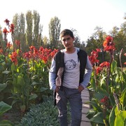 ,   , 31 ,   ,   , c 