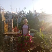 ���������� �����, ���� ������� �����, 50 ���, ������������ 