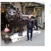  ,  jan, 50