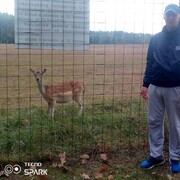  ,   , 40 ,   ,   