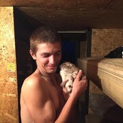 ���������� ������, ���� ������� �������, 31 ���, ������������ ��� ������, ����� � ���������, c�������� ���������, ���������