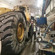 ���������� ��������, ���� ������� �����, 46 ���, ������������ ��� ���������