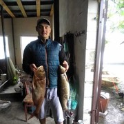 ���������� ����, ���� ������� ����, 38 ���, ������������ ��� ������, ����� � ���������, c�������� ���������