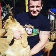   ,   Domenik, 31 ,   ,   , c 