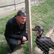  ,   Roma, 47 ,   ,   , c , 