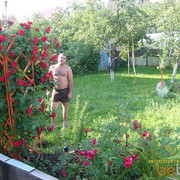 ���������� �����, ���� ������� Den, 42 ����, ������������ 