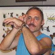 ���������� �����, ���� ������� Gok, 55 ���, ������������ ��� ����� � ���������, c�������� ���������