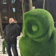 ���������� ������, ���� ������� ������, 44 ����, ������������ ��� ������, ����� � ���������