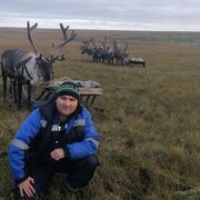 ���������� �����, ���� ������� �����, 43 ����, ������������ ��� ������, ����� � ���������, c�������� ���������