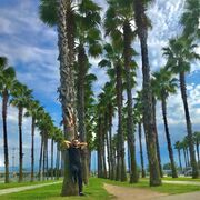 ���������� ����, ���� ������� VasyaHabibul, 35 ���, ������������ ��� ������, ����� � ���������