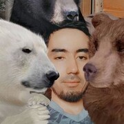  ,  , 31