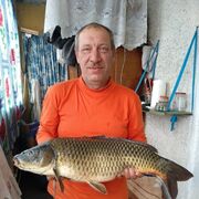 ���������� ������������, ���� ������� ����, 59 ���, ������������ ��� ������, ����� � ���������