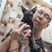 ���������� �������, ���� ������� ���������, 29 ���, ������������ ��� ������, ����� � ���������