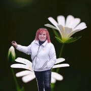  ,   , 55 ,     , c 