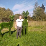 ���������� ������, ���� ������� �������, 46 ���, ������������ ��� ���������