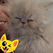 ���������� ����������, ���� ������� �����, 40 ���, ������������ ��� ����� � ���������, c�������� ���������