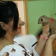 ���������� ������, ���� ������� ����, 42 ����, ������������ ��� ������, ����� � ���������, c�������� ���������