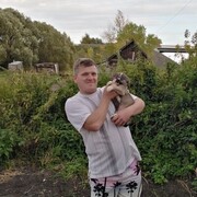 ���������� �����, ���� ������� ������, 40 ���, ������������ ��� c�������� ���������