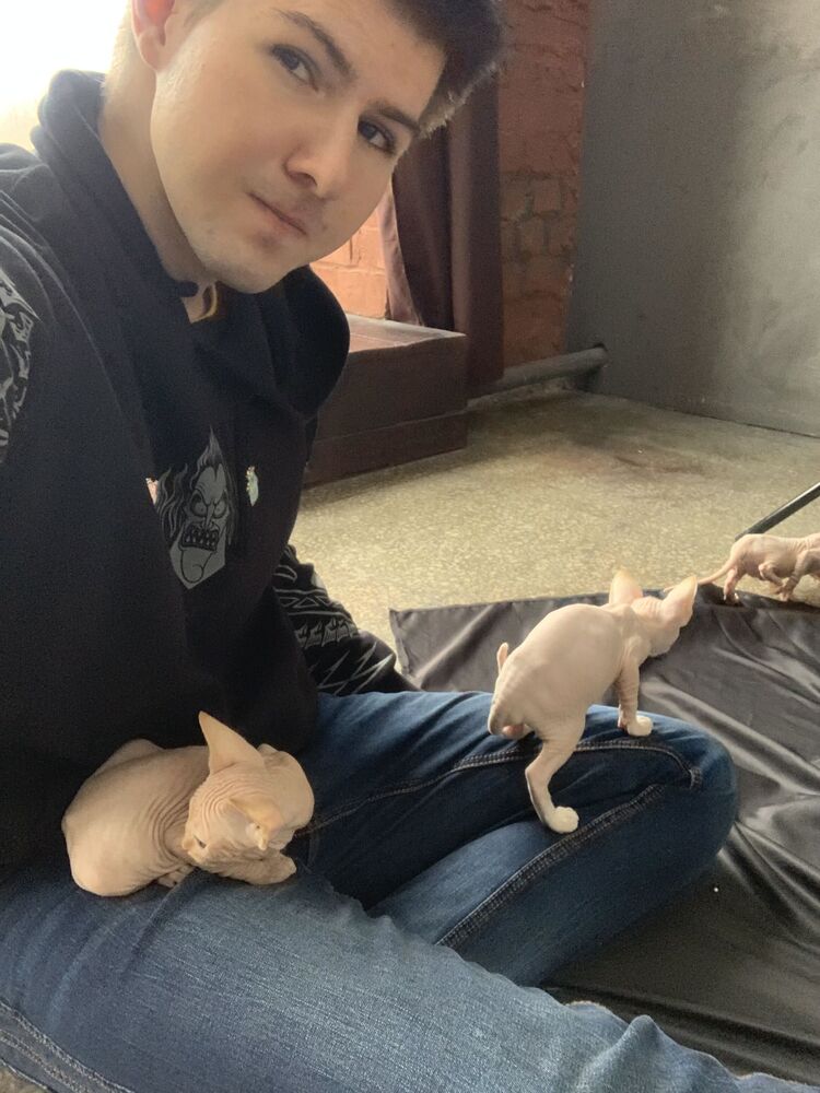 ���������� �����-���������, ���� ������� �����, 27 ���, ������������ ��� ������, ����� � ���������, ���������