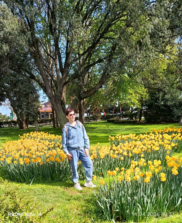 ���������� ������, ���� ������� �������, 43 ����, ������������ ��� ����� � ���������, c�������� ���������