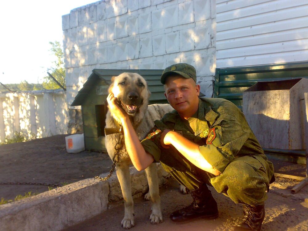  31991173  Dmitry, 33 ,    