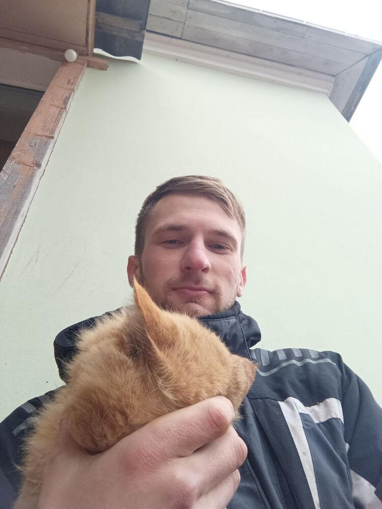 ���� 25041833 ������� �������, 27 ���, ���� ���������� � ����