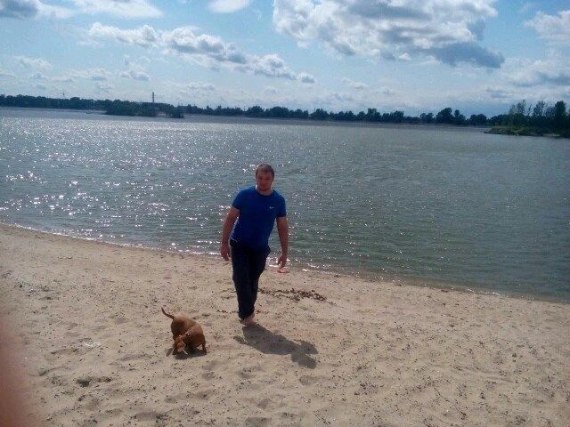 ���� 33482543 ������� �����, 39 ���, ���� ���������� � ��������