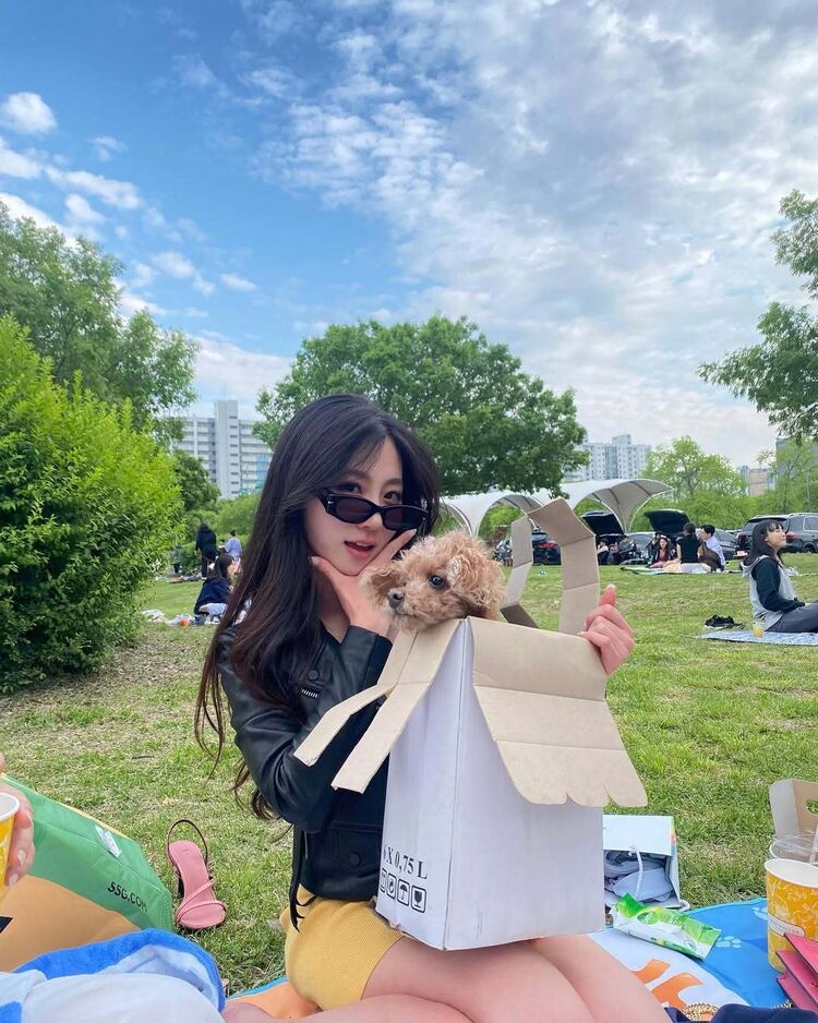 ���������� �����-���������, ���� ������� Limeili, 34 ����, ������������ ��� c�������� ���������