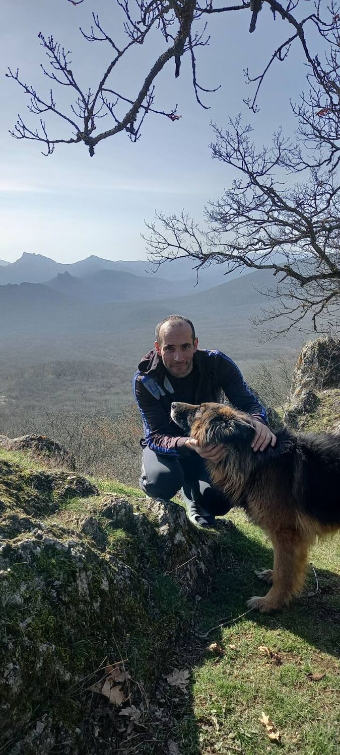 ���� 50203613 ������� �����, 38 ���, ���� ���������� � �����������