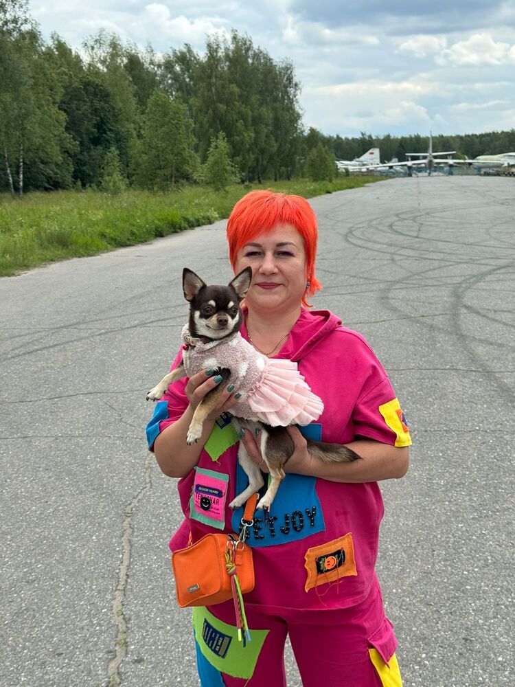 ���������� ������, ���� ������� ��������, 51 ���, ������������ ��� c�������� ���������