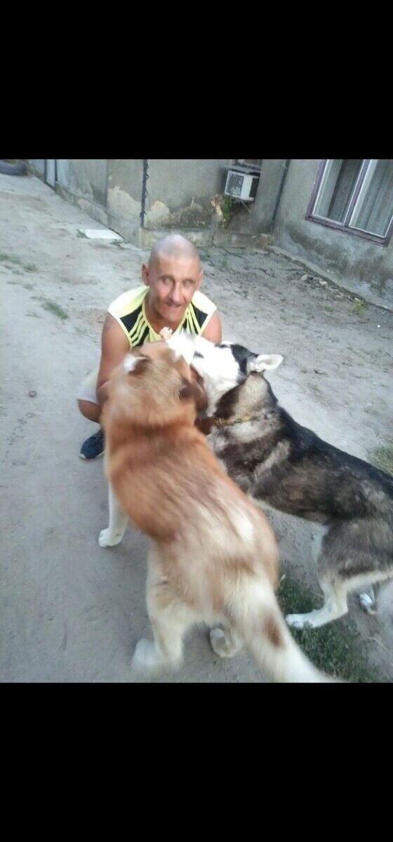 ���� 20953933 ������� ���������, 55 ���, ���� ���������� � ������