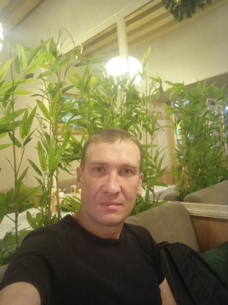  51894823  , 37 ,    -