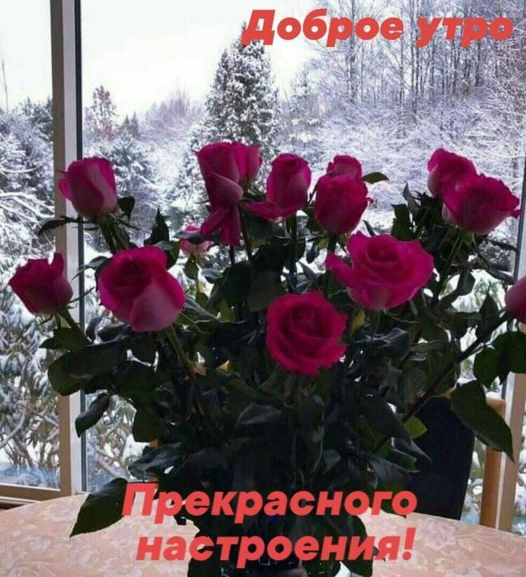 ���������� ����, ���� ������� ��������, 39 ���, ������������ ��� ������, ����� � ���������, c�������� ���������