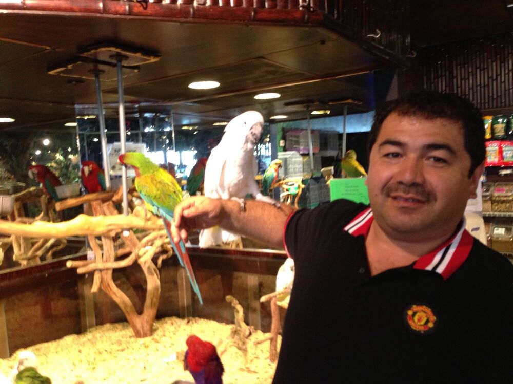 ���������� �������, ���� ������� ��������, 52 ����, ������������ ��� ������