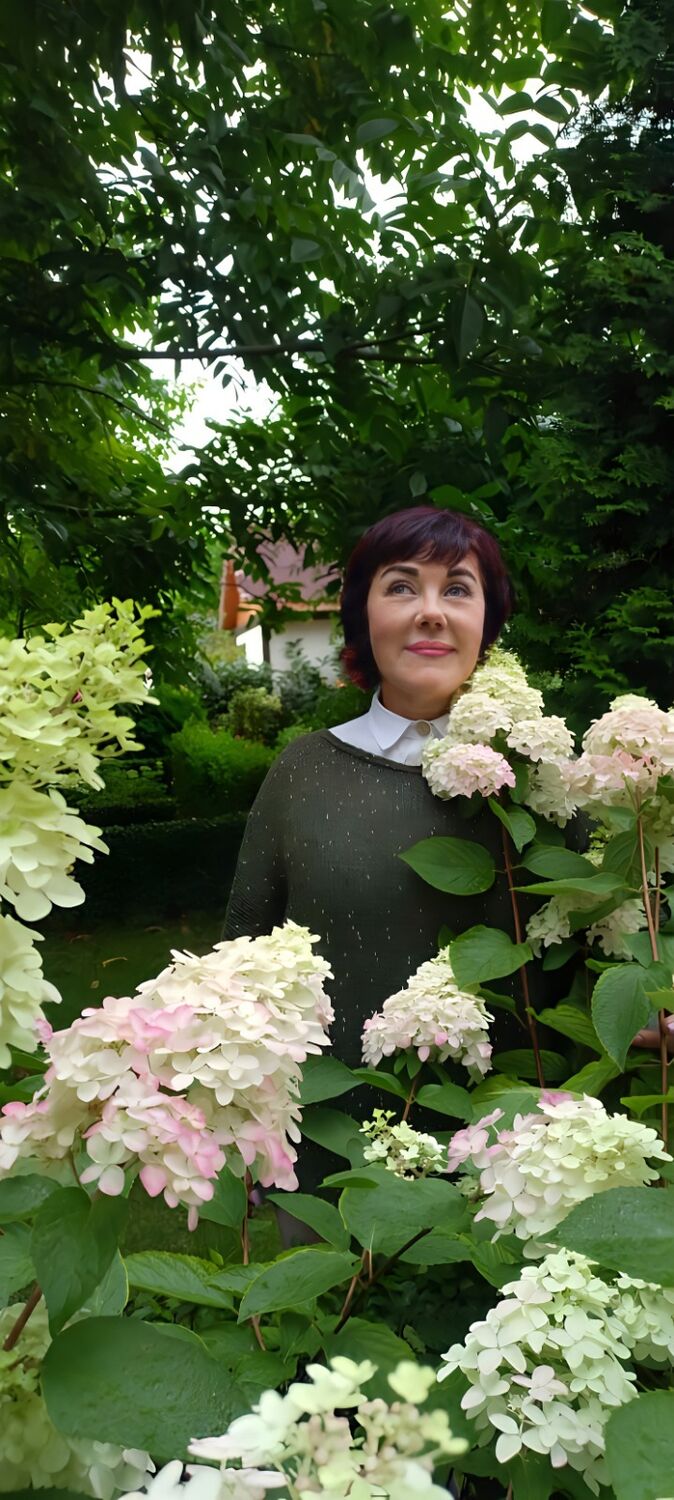 ���������� ������, ���� ������� ��������, 60 ���, ������������ ��� ����� � ���������, c�������� ���������, ���������