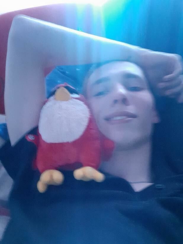 ���� 19566423 ����� �����, 24 ����, ���� ���������� � ���������������