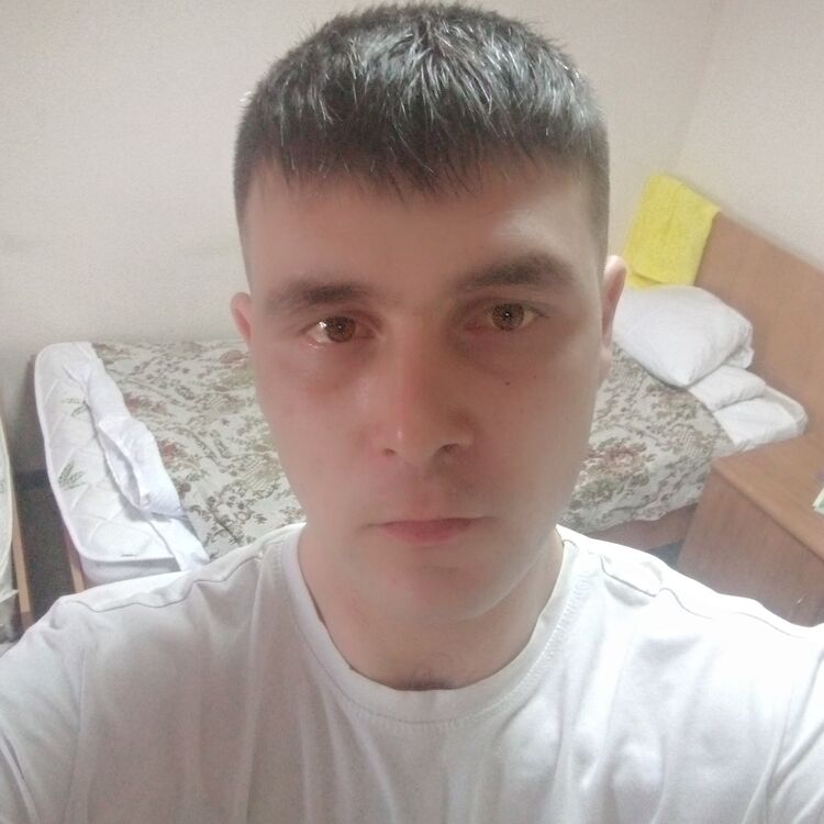 ���� 33296643 ������� �������, 33 ����, ���� ���������� � ����-���