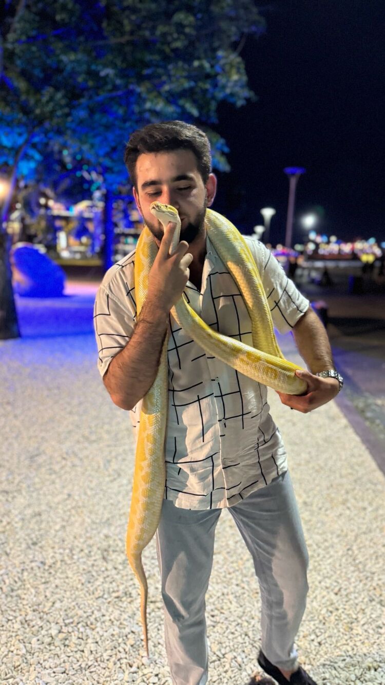 ���������� ���������, ���� ����� ����, 23 ����, ������������ ��� ������, ����� � ���������, c�������� ���������, ���������