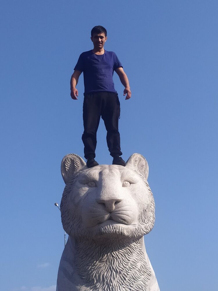 ���� 18395193 ������� Sher, 35 ���, ���� ���������� � ������������