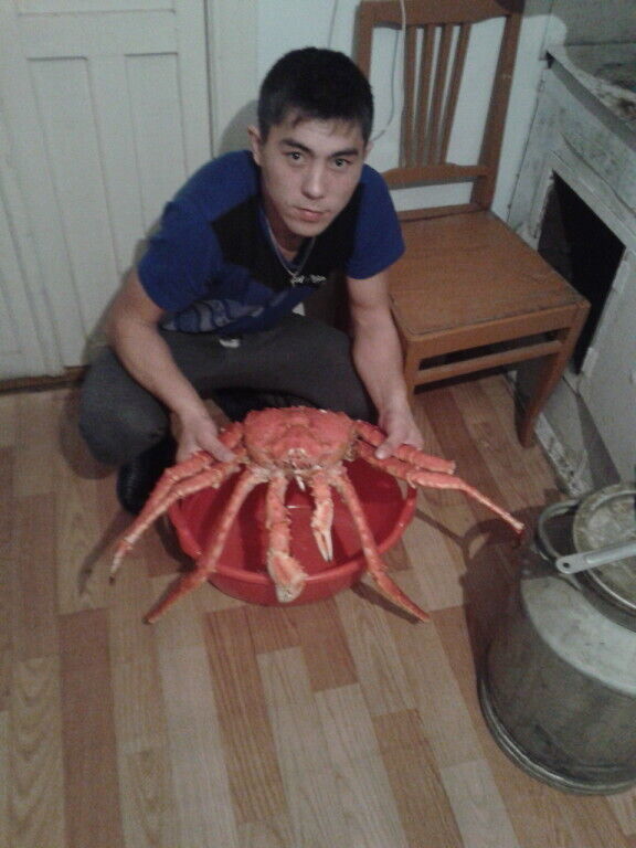  54367853  Maks, 31 ,    Ch'ongju