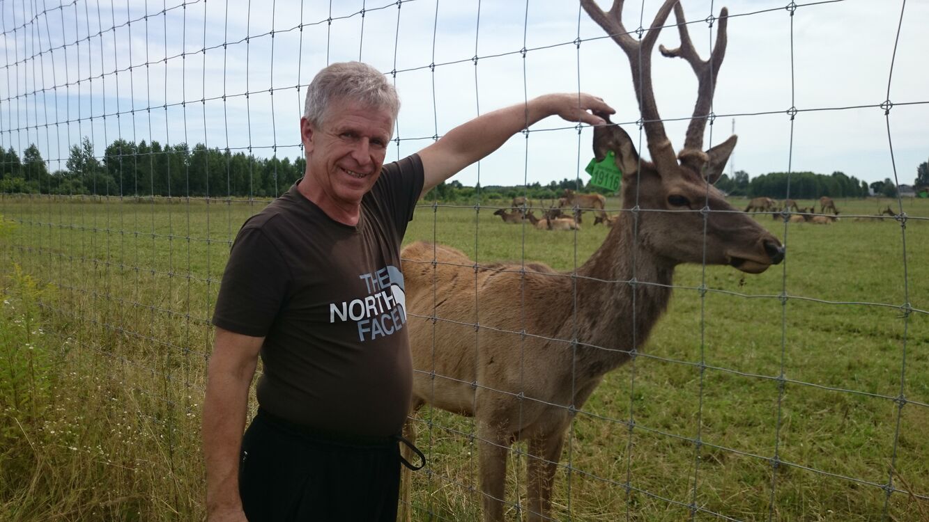 ���������� �������, ���� ������� ����, 60 ���, ������������ ��� ������, ����� � ���������